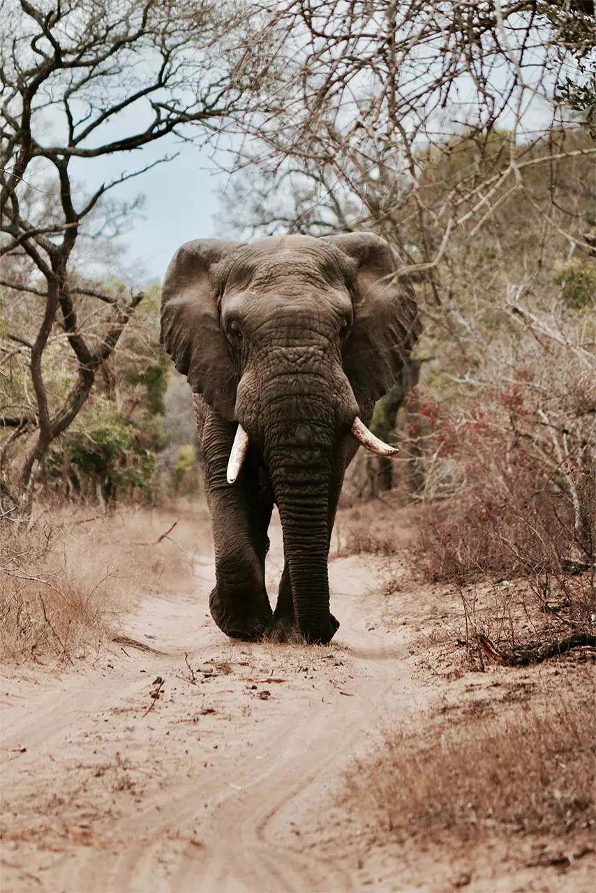 xRKcHoCOA4Y-02